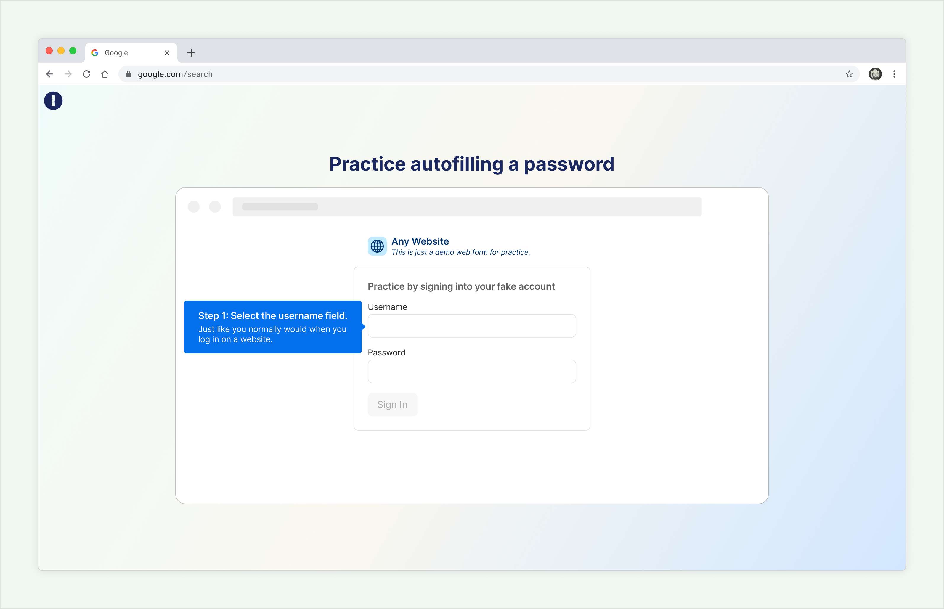 No-data-required tutorial showcasing autofill